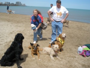 The Gang on the Beach